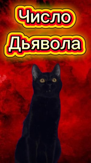 999 число дьявола 🙀 #кот #кошка #животные #ужасы #страшнаяистория