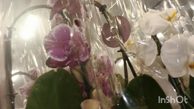 Завоз в магазин 