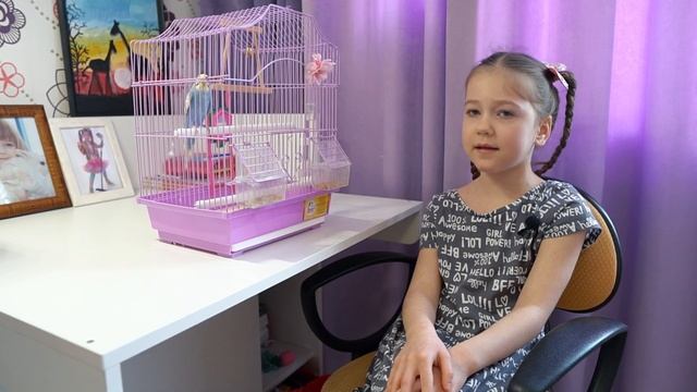 Школьный проект попугай "Кузя". смотреть онлайн