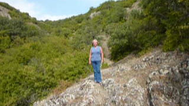 P1010669 смотреть онлайн