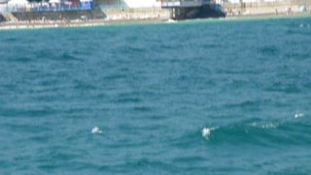 P1010613 смотреть онлайн