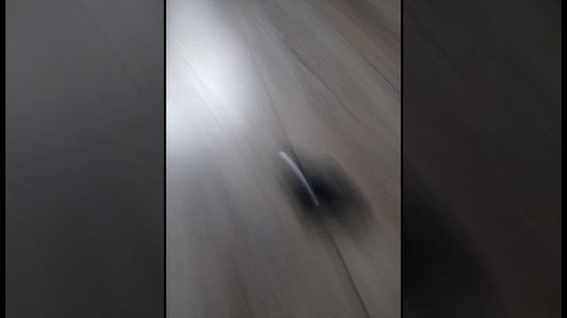 Маша и Медведь Эх прокачу 55. смотреть онлайн