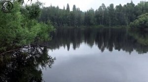 Рыбалка на р. Тым, 5 Месяцев в Тайге, Куча рыбы. Сезон 2025 г. Серия № 5.