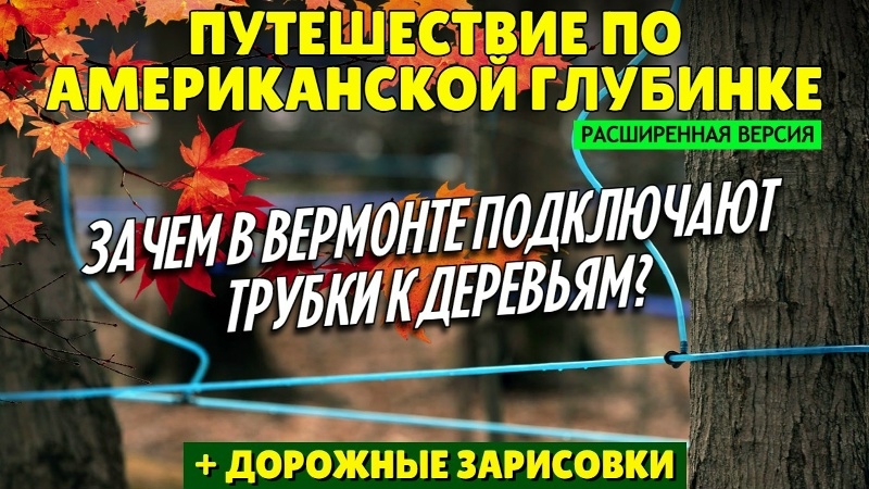 Путешествие по американской глубинке | Зачем в Вермонте подключают трубки к деревьям? (расширенная) смотреть онлайн