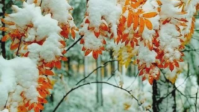 Зима будет большая смотреть онлайн