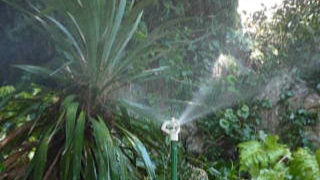 P1010548 смотреть онлайн