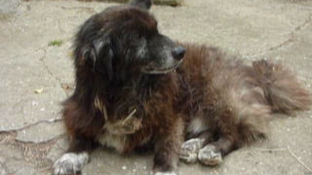 P1010629 смотреть онлайн