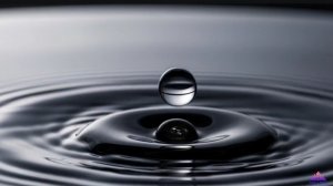 Puls Radio .TRANCE Music Mix 2025