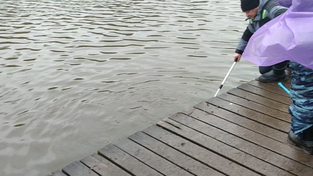 Основной водоём. Паста. смотреть онлайн