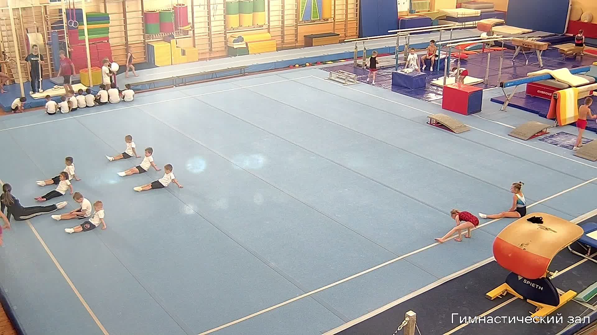 Оздоровительная гимнастика смотреть онлайн