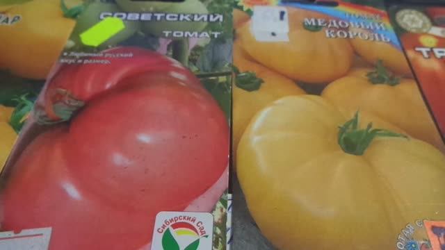 2 ТОМАТА В ОДНУ ЛУНКУ. Часть 2. МОЖНО ЛИ ТАК ВЫСАДИТЬ ИНДЕТЕРМИНАНТНЫЕ СОРТА? смотреть онлайн