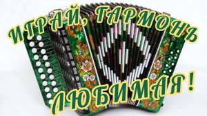 25 НОЯБРЯ- ДЕНЬ ГАРМОНИСТА. САМОЕ КРАСИВОЕ МУЗЫКАЛЬНОЕ 🎊🎉ПОЗДРАВЛЕНИЕ ОТ ДУШИ