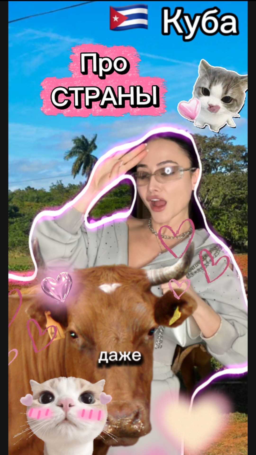 Коров не обижаем !) смотреть онлайн