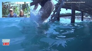 Отзыв об отеле MARTI MYRA 5. Турция. Текирова