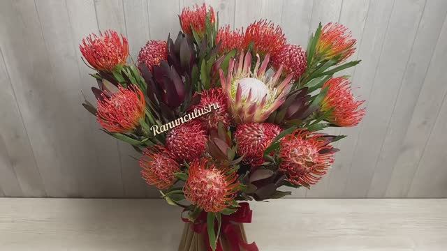 Букет из нутана и протеи смотреть онлайн