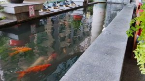 Паттайя Long beach Garden hotel...