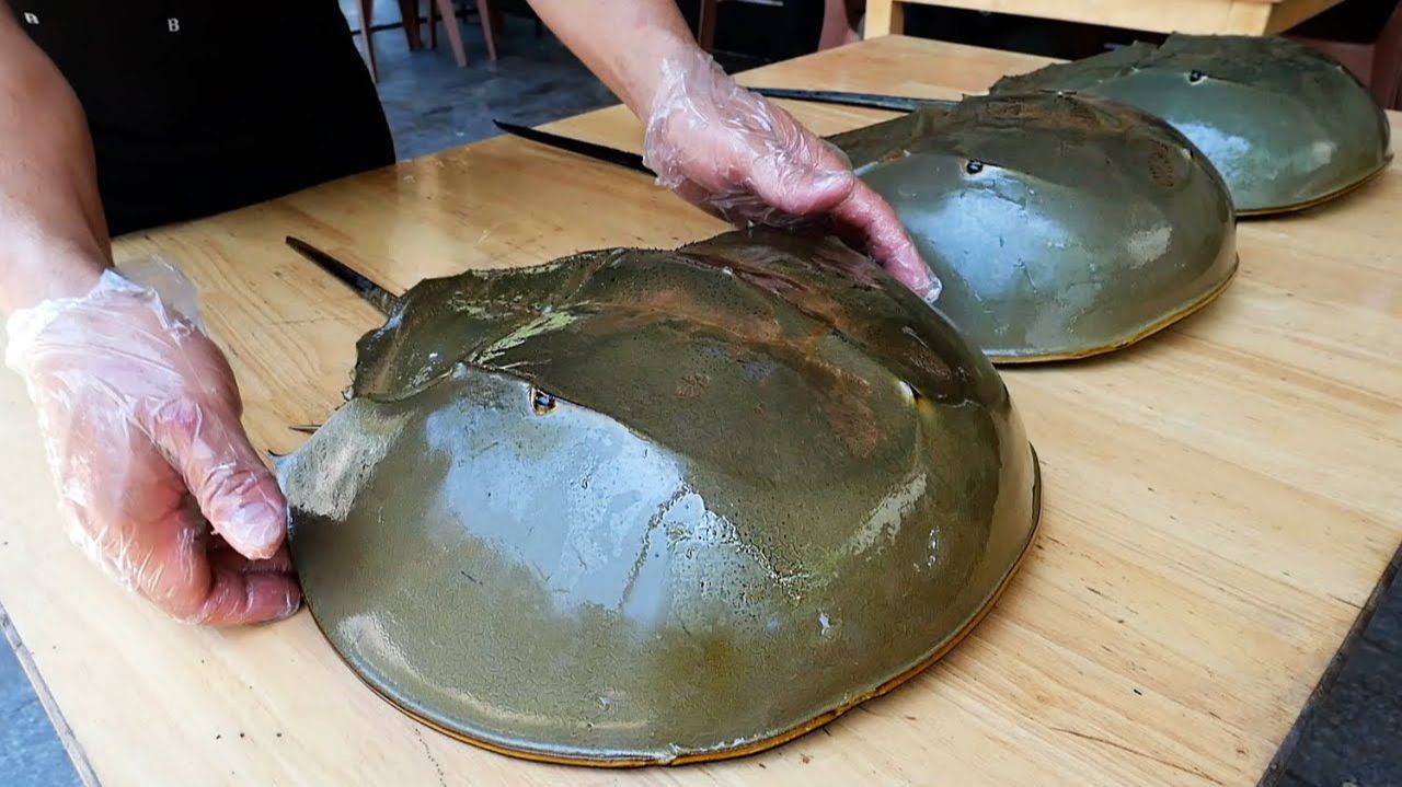 ГИГАНТСКИЙ КРАБ Вьетнамская уличная еда смотреть онлайн