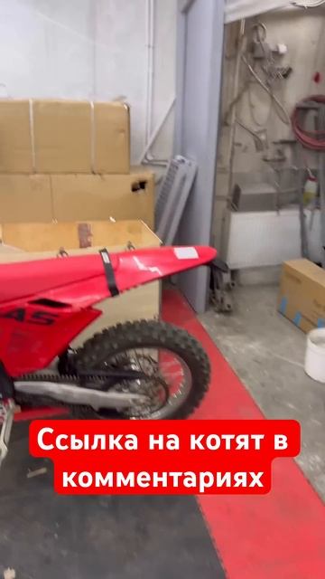 Ремонтируем квадрик, раздаем котят #кошки #кот #котята смотреть онлайн