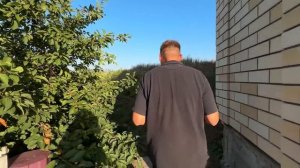 ВЛОГ Едем на море на ЗАКАТ ! Ищем поле с подсолнухами! Мой уровень IQ‼️