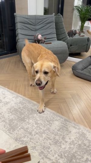 Хитро сработал😁