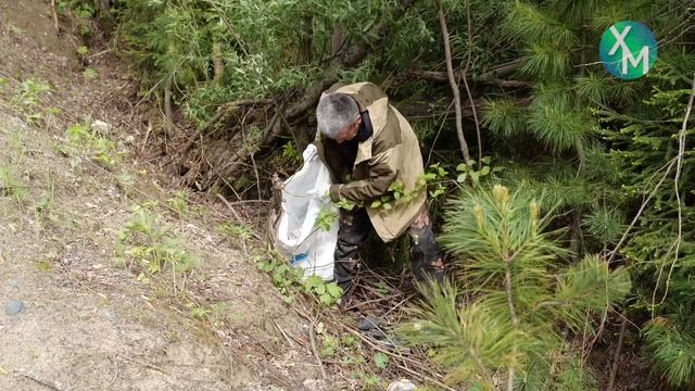 Хантымансийцы могут выбрать главную тему 2026 года в автономном округе смотреть онлайн