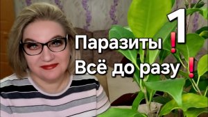 Паразиты❗️Всё до разу💯❗️