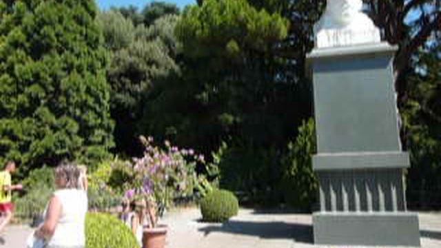 P1010531 смотреть онлайн