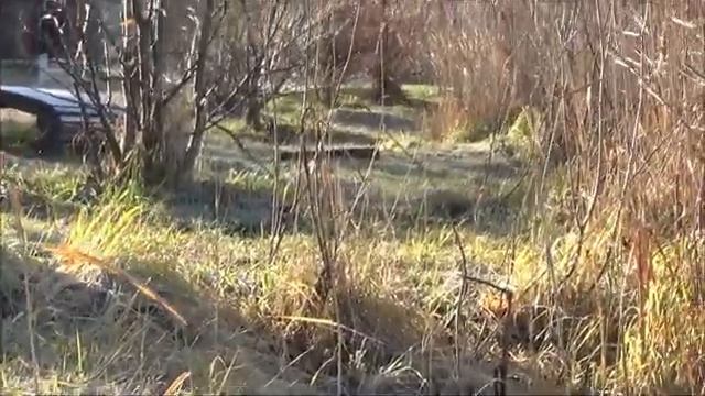 РЫБОЛОВ ИВАНОВИЧ Лёд встаёт [get.gt]