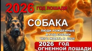 ГОРОСКОП на 2026 ДЛЯ РОЖДЕННЫХ В ГОД #СОБАКИ  1946, 1958, 1970, 1982, 1994, 2006, 2018