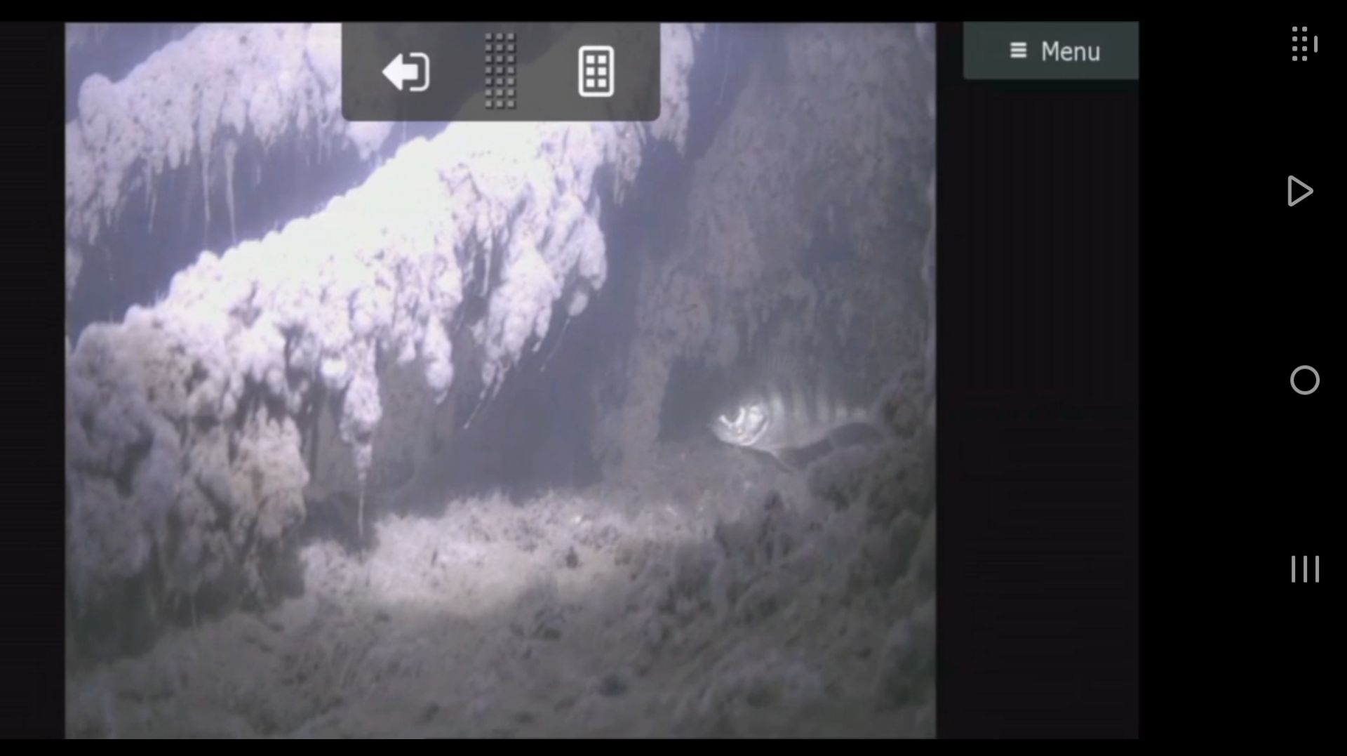 Внешняя подсветка 5Вт 2000К и 10% инфракрасная подсветка смотреть онлайн