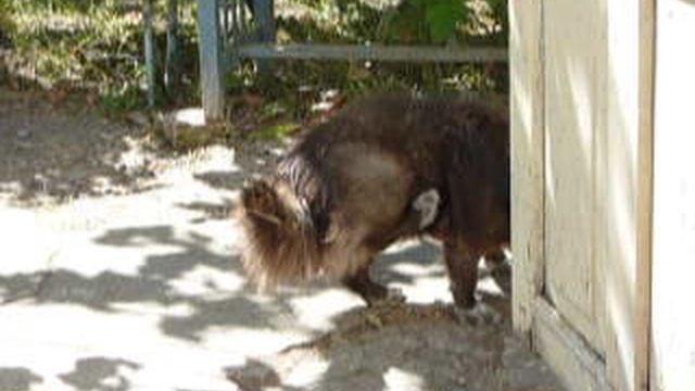 P1010690 смотреть онлайн