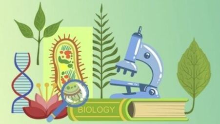 Биология 8 класс. Сон и сновидения. смотреть онлайн