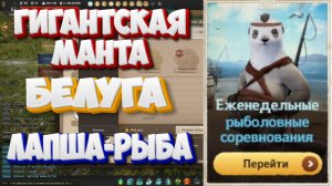 БДО. Гигантская манта. Белуга. Лапша-рыба. Рыболовные соревнования. 24-29.11.2025.