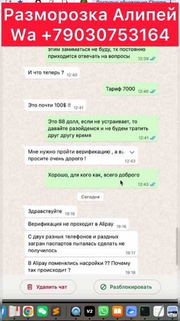 Алипей и кот с короткой памятью смотреть онлайн