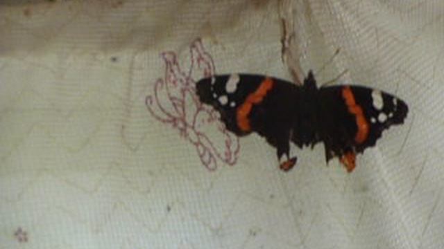 P1010712 смотреть онлайн