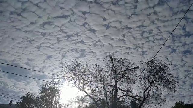 Красивые моменты., Цветы 🌸🌺🌻🌹🌷🌼💐., Облака. Да просто 👉жизнь без прекрас.. смотреть онлайн