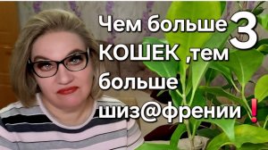 Чем больше КОШЕК, тем больше шиз@френии❗️
