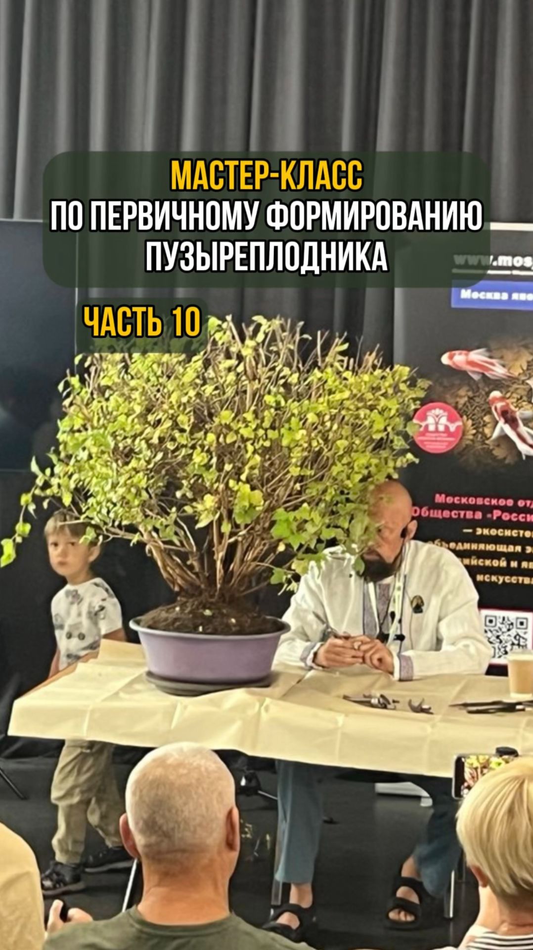 Мастер-класс по первичному формированию пузыреплодника. Часть 10 смотреть онлайн