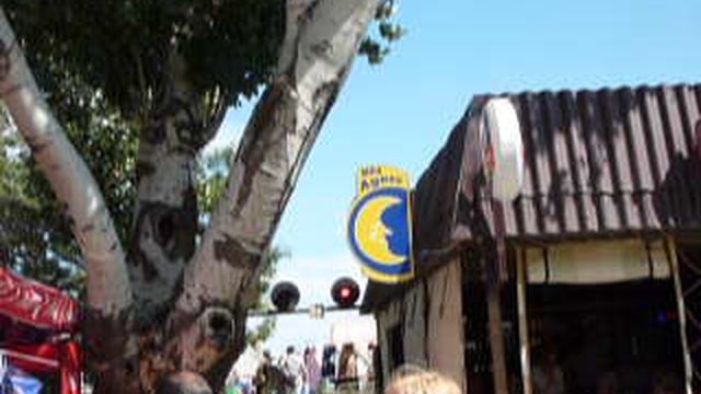 P1010813 смотреть онлайн