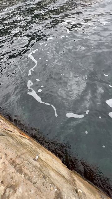 Крым сегодня! Температура моря 24.11.2025 смотреть онлайн