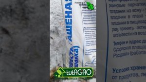 ЭТА ПЛОМБА вылечит любое дерево! Чудесное спасение любимых деревьев. Лечение без цемента.