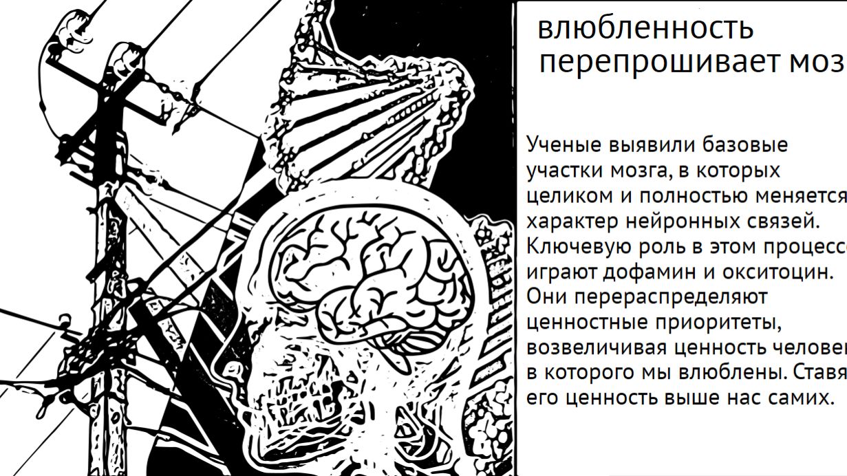Дофамин против окситоцина : Почему рушится семья