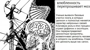 Дофамин против окситоцина : Почему рушится семья