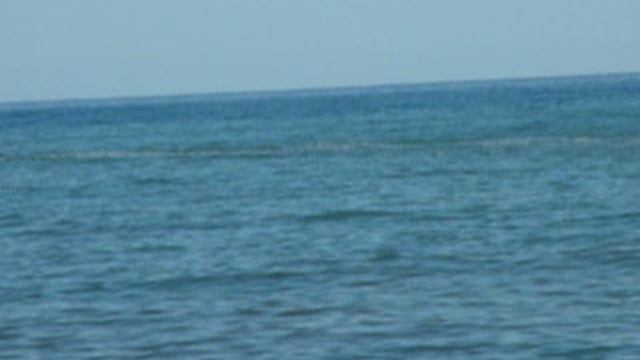 P1010840 смотреть онлайн