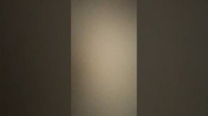 Толян раб мой