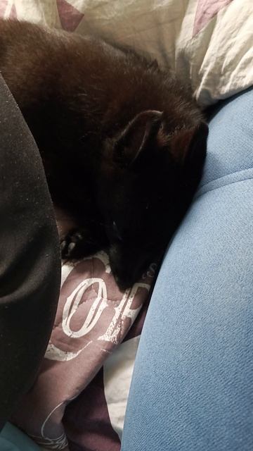 Под подушкой клад нашла смотреть онлайн