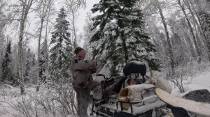 охота на соболя капканами