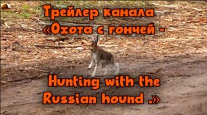 Трейлер канала«Охота с гончей - Hunting with the Russian hound .» #охотасгончей #соб #топ #hunting