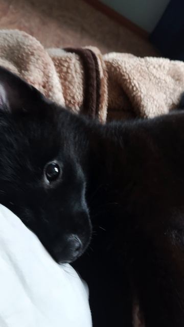 Утренние нежности смотреть онлайн