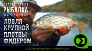 Ловля крупной плотвы фидером / Рыбалка нового поколения